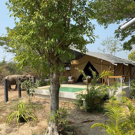 Elephant View Camp Ban Huai Thawai Kültér fotó