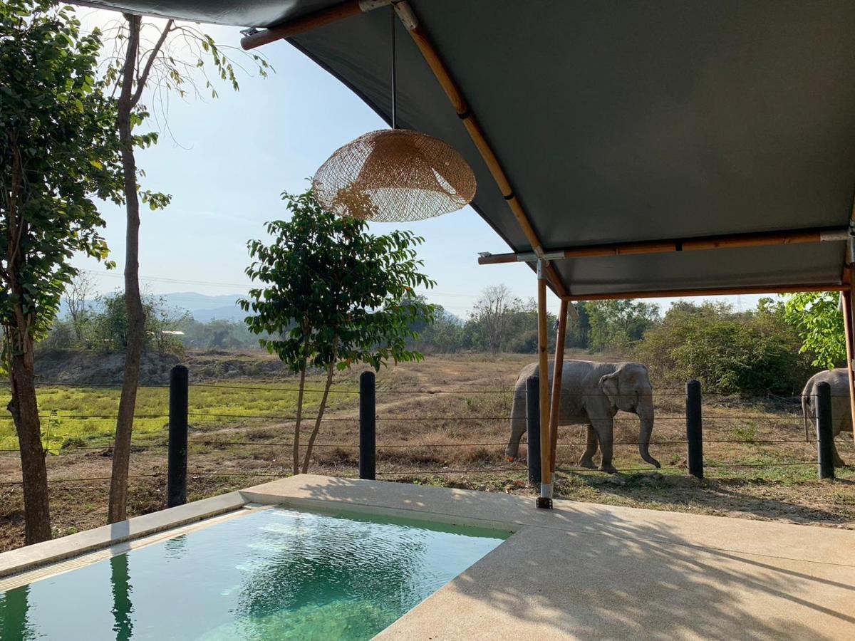Elephant View Camp Ban Huai Thawai Kültér fotó