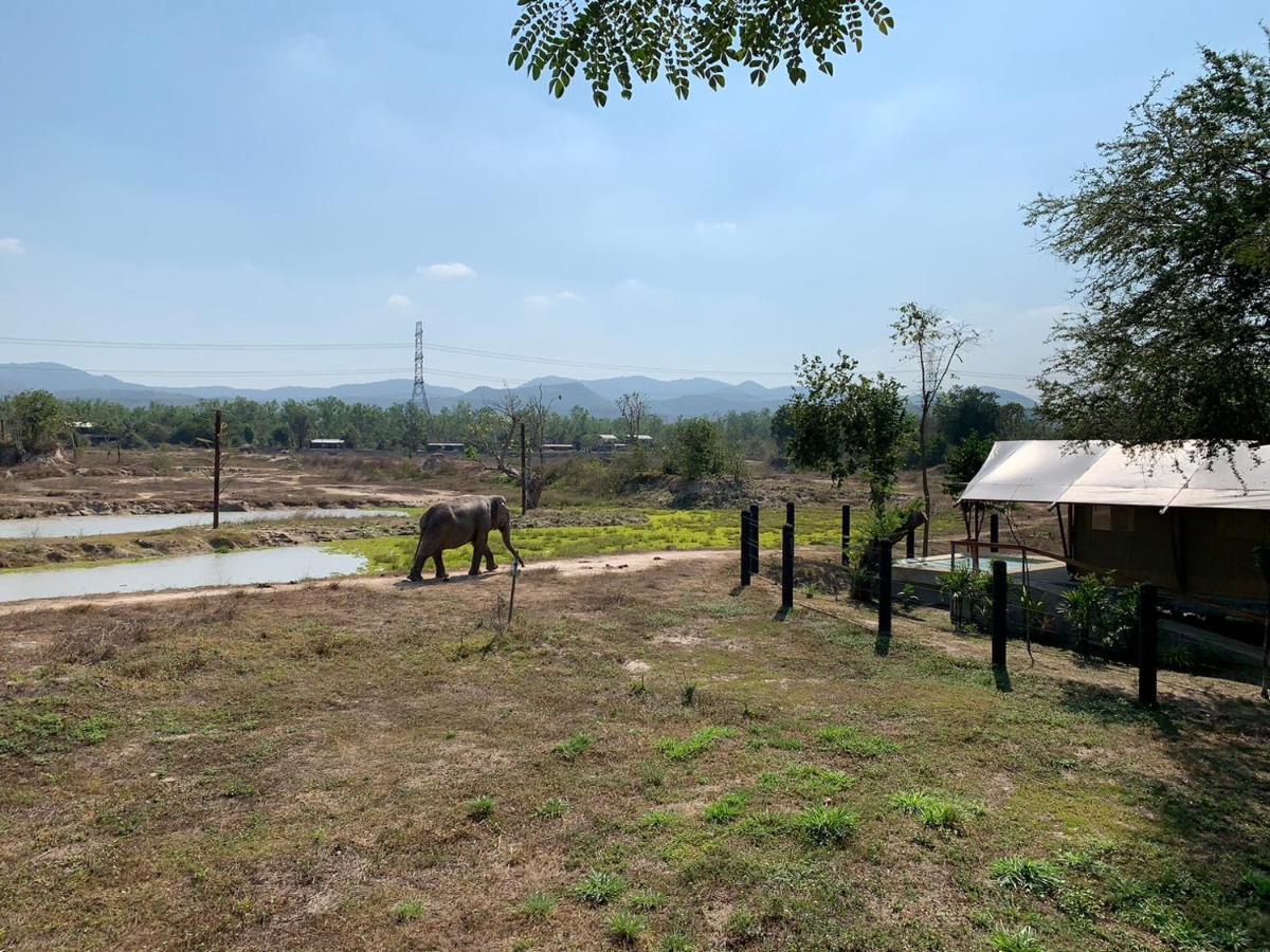Elephant View Camp Ban Huai Thawai Kültér fotó