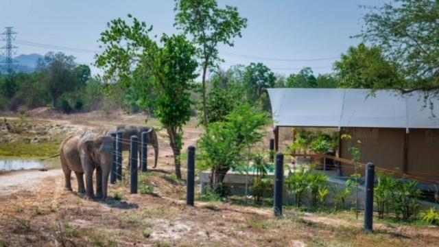 Elephant View Camp Ban Huai Thawai Kültér fotó