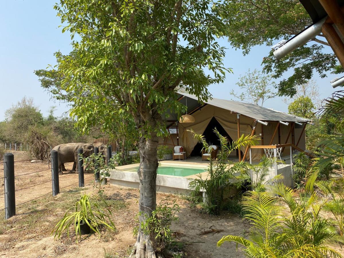 Elephant View Camp Ban Huai Thawai Kültér fotó