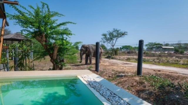 Elephant View Camp Ban Huai Thawai Kültér fotó